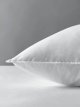 Natural Duck Feather and Down Standard Pillow, Soft/Medium